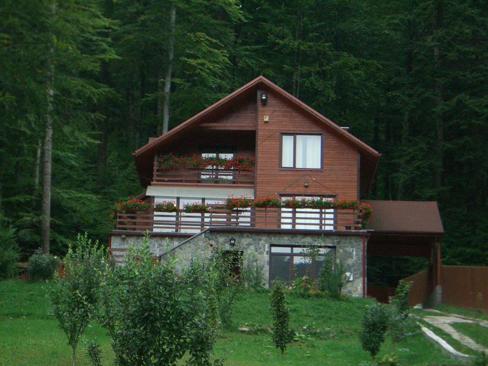 Villa Mara Sinaia Extérieur photo