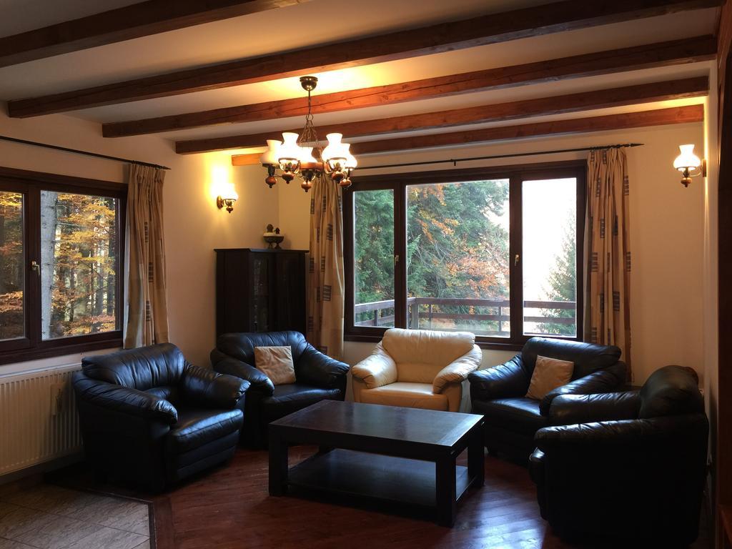Villa Mara Sinaia Extérieur photo